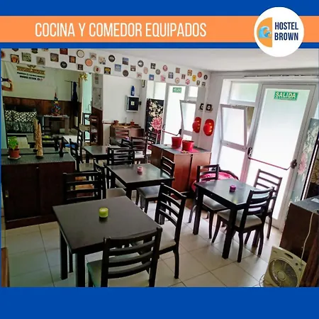 Hostel Brown-3